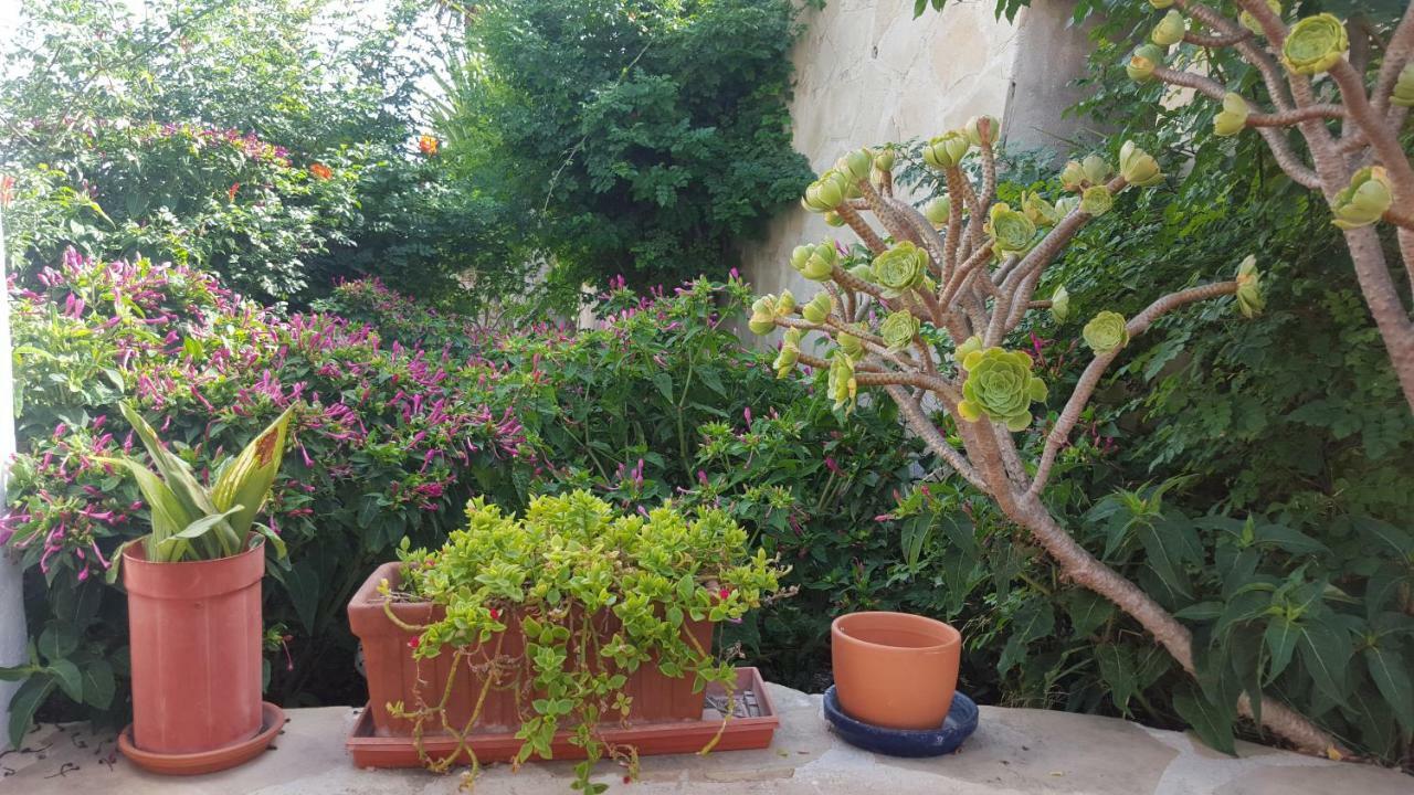 Estudio En Teulada Εξωτερικό φωτογραφία